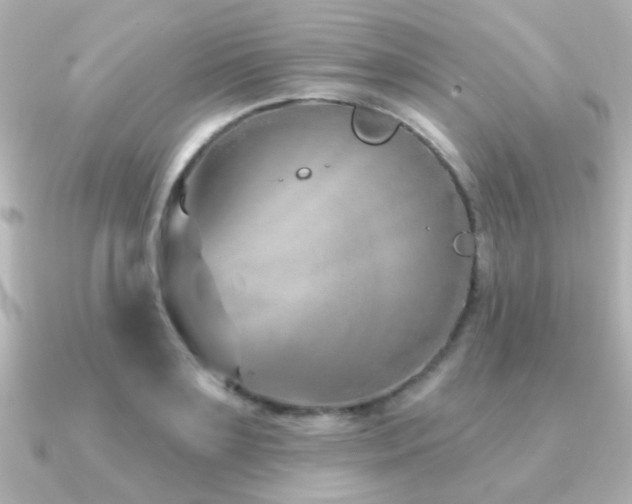 X0000091170891200708091202