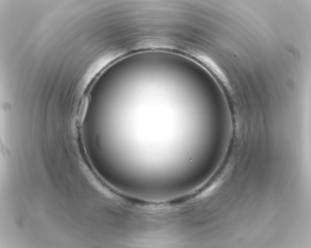 X0000091170893200708091202