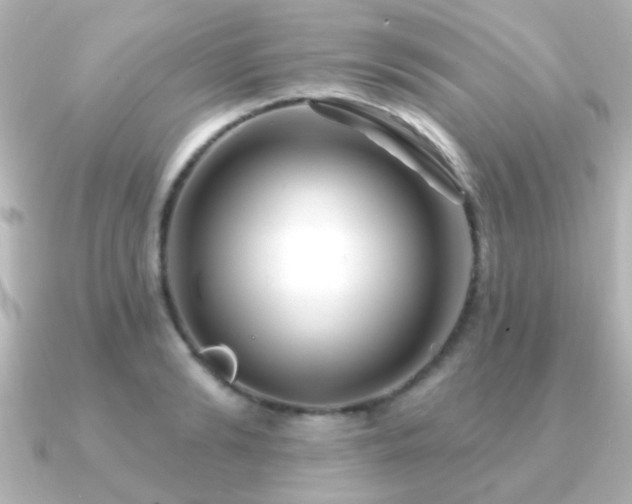 X0000091170894200708091202
