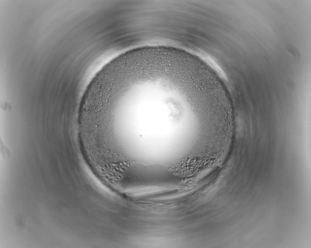 X0000091170895200708091202