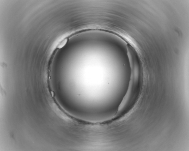 X0000091170896200708091202