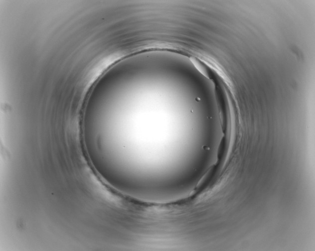 X0000091170898200708091202