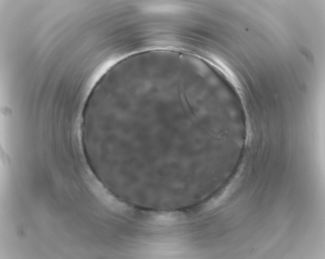 X0000091170899200708091202