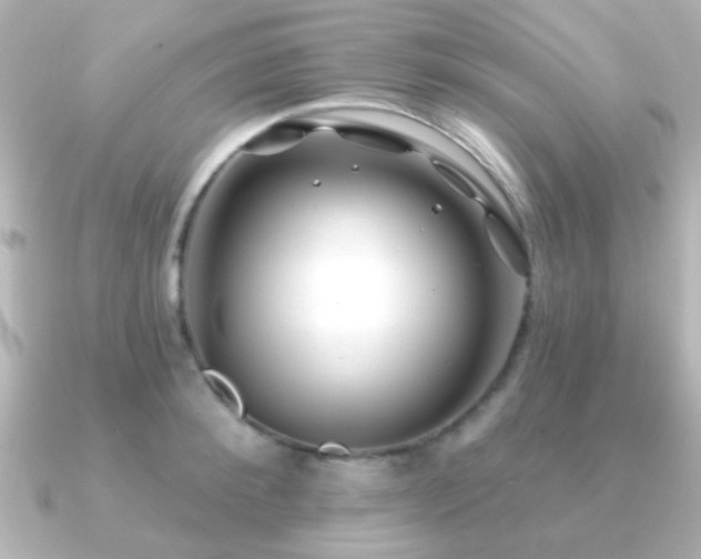 X0000091170900200708091202