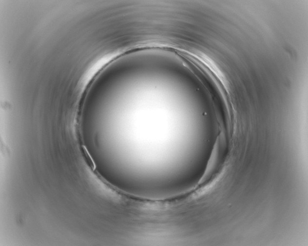 X0000091170901200708091202