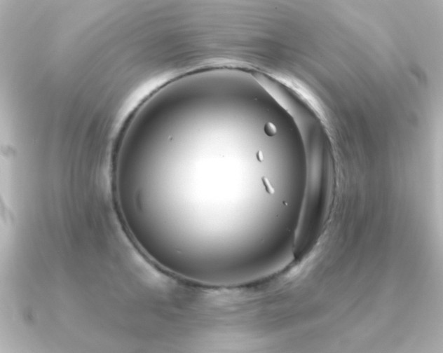 X0000091170902200708091202