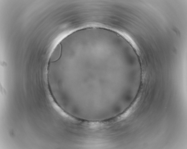 X0000091170903200708091202