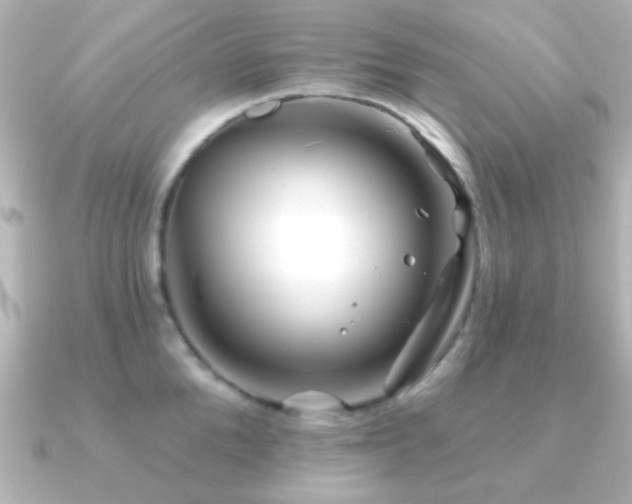 X0000091170904200708091202