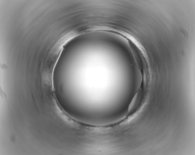 X0000091170905200708091202