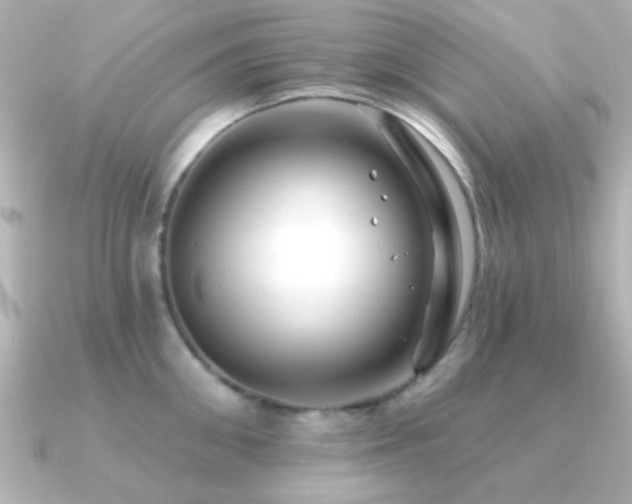X0000091170906200708091202