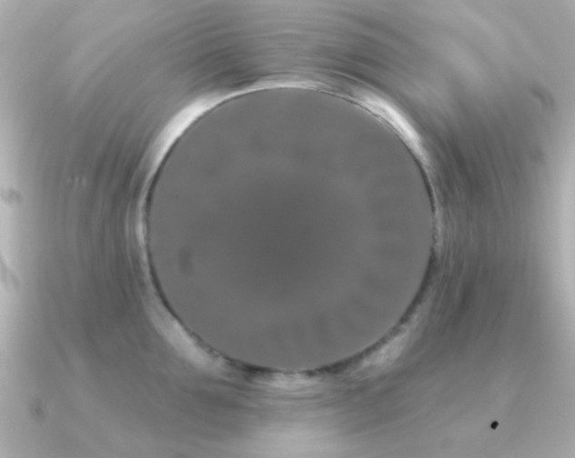 X0000091170907200708091202