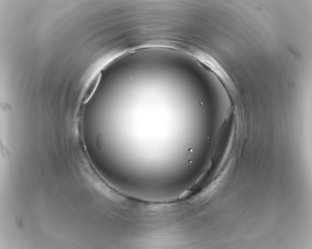 X0000091170908200708091202