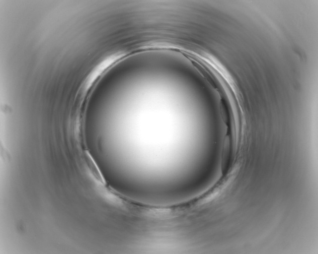 X0000091170909200708091202