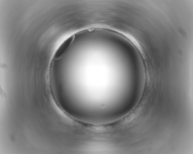 X0000091170911200708091202