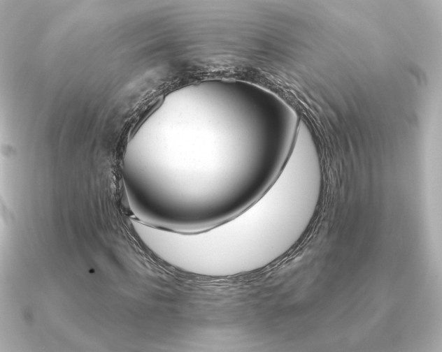 X0000091170916200708091201