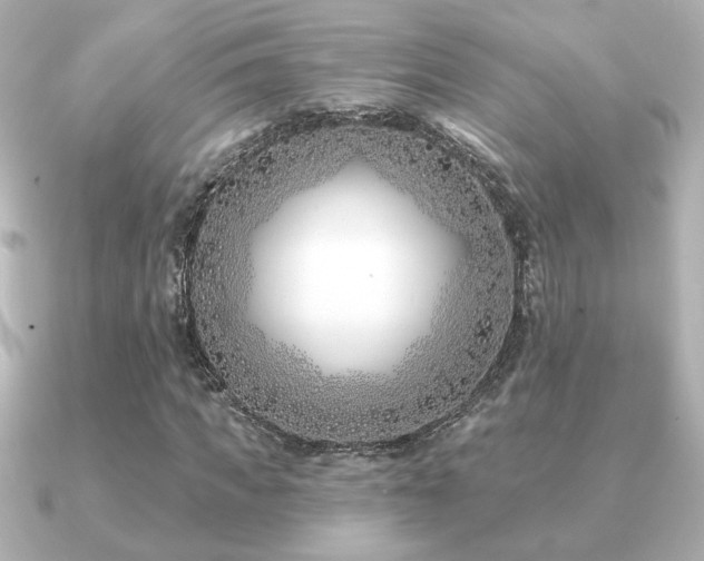 X0000091170917200708091201
