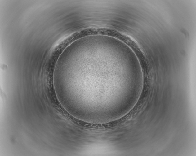 X0000091170919200708091201