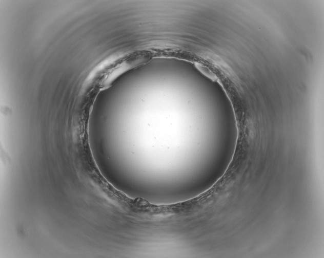X0000091170920200708091201