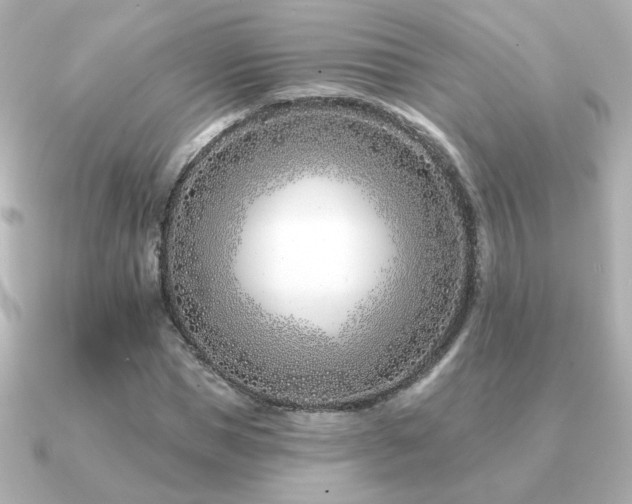 X0000091170921200708091201