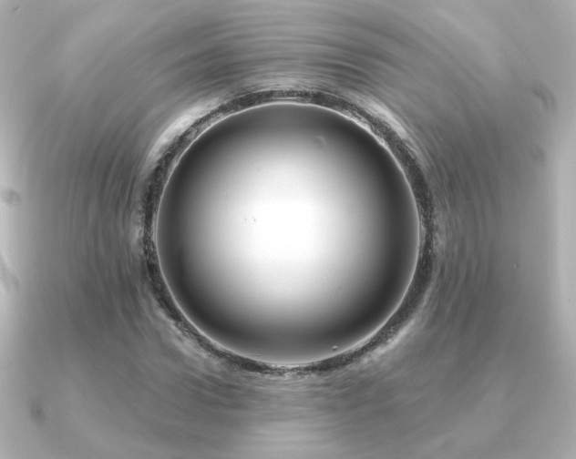 X0000091170922200708091201