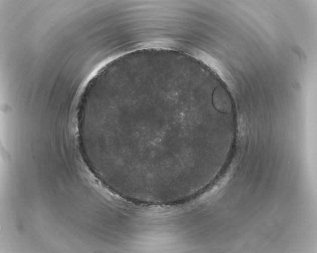 X0000091170923200708091201