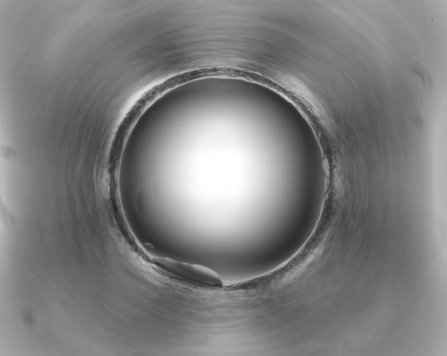X0000091170924200708091202