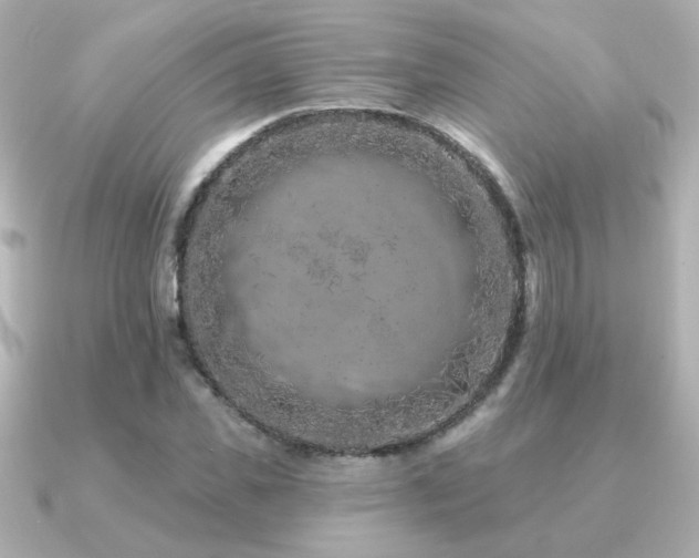 X0000091170925200708091202