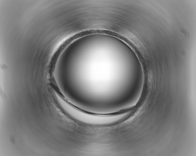 X0000091170926200708091202