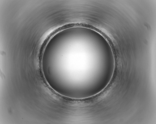 X0000091170927200708091202