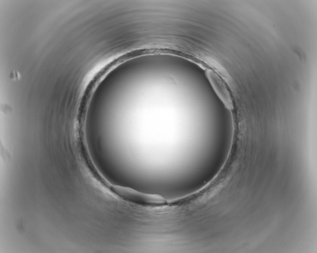 X0000091170928200708091202