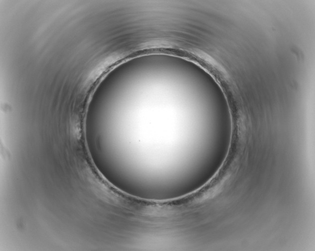 X0000091170929200708091202