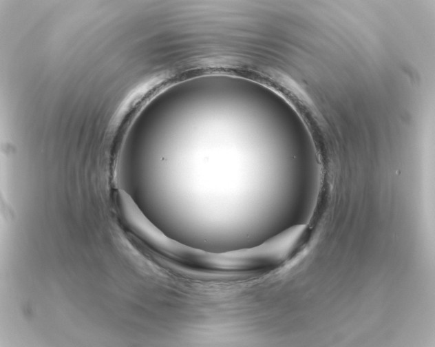 X0000091170930200708091202