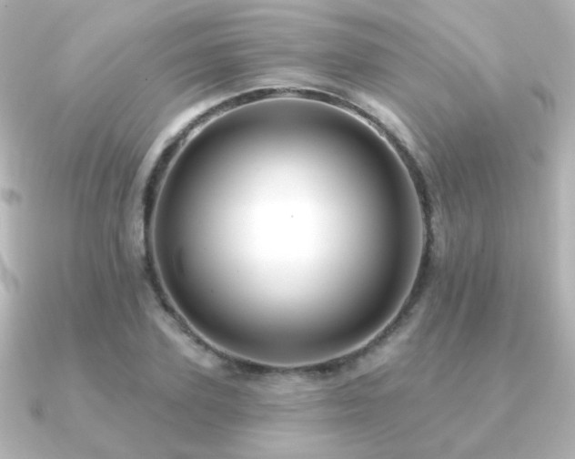 X0000091170931200708091202
