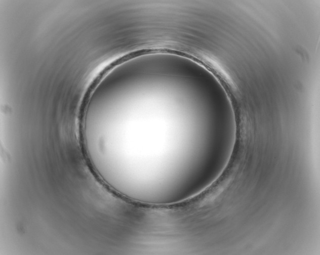 X0000091170932200708091202