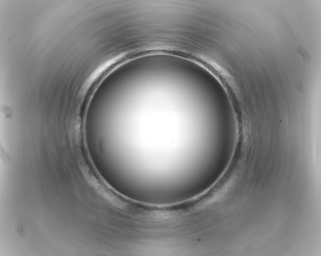 X0000091170933200708091202