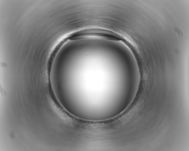 X0000091170934200708091202