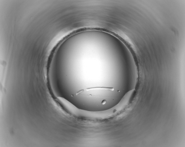 X0000091170935200708091202