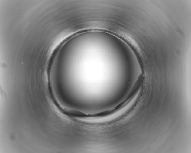 X0000091170936200708091202
