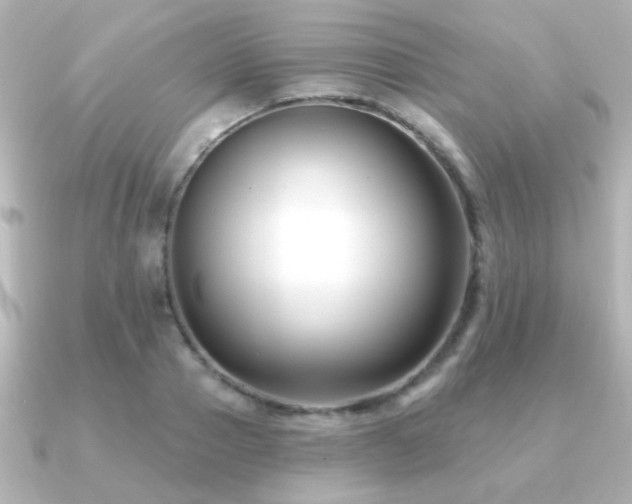 X0000091170937200708091202
