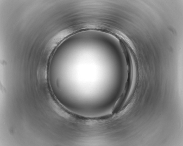 X0000091170938200708091202