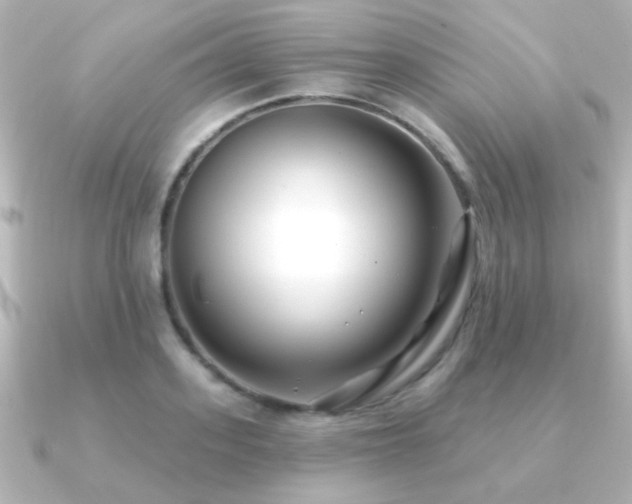 X0000091170939200708091202