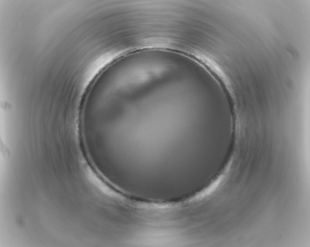 X0000091170941200708091202