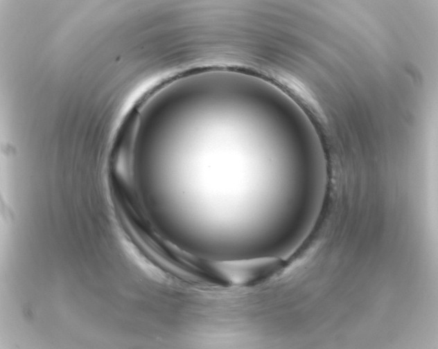 X0000091170942200708091202
