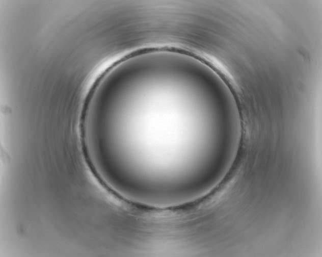 X0000091170943200708091202