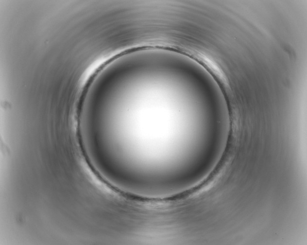 X0000091170944200708091202