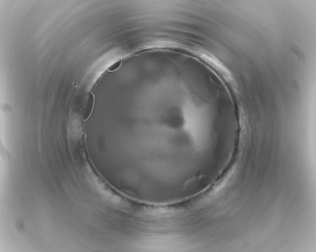 X0000091170945200708091202