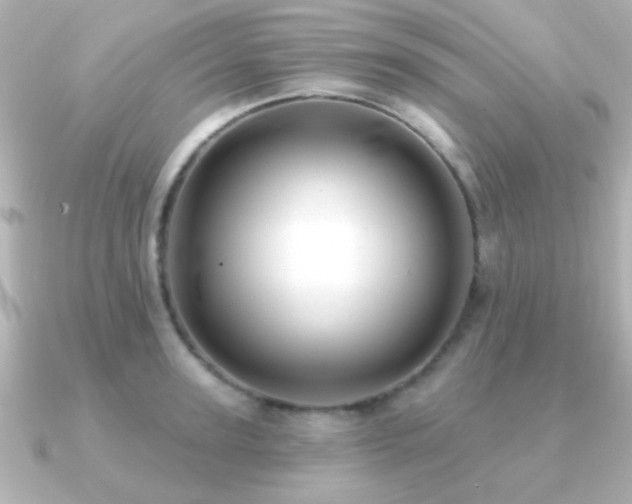X0000091170947200708091202