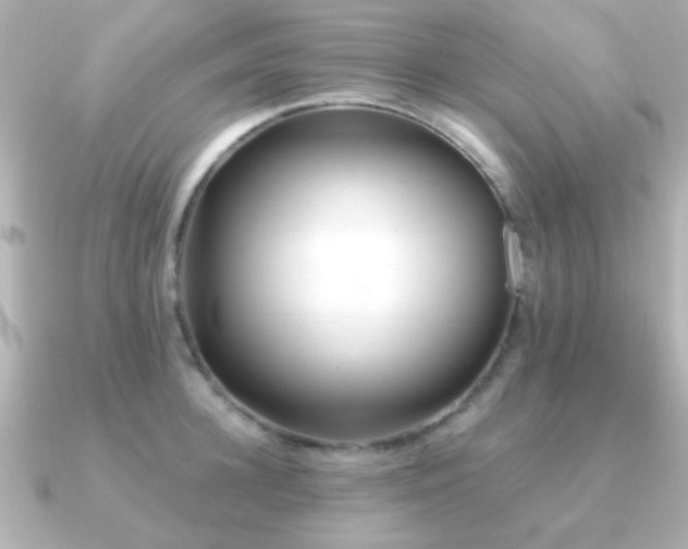 X0000091170948200708091202