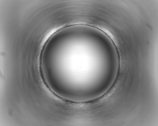 X0000091170949200708091202