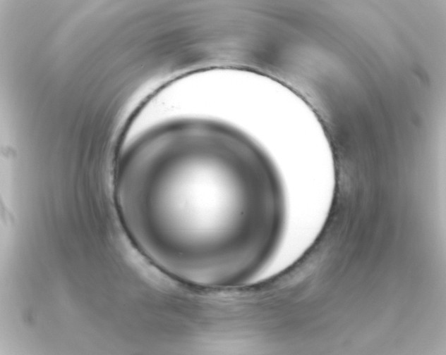 X0000091170950200708091202